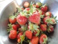 strawberries-001